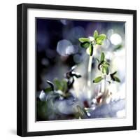 Fresh Start-Incredi-Framed Giclee Print