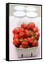 Fresh Strawberries in Cardboard Punnet; Jam Jars-Foodcollection-Framed Stretched Canvas