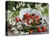 Fresh Strawberries in Sieve Surrounded by Sloe Blossom-Martina Schindler-Stretched Canvas