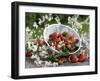 Fresh Strawberries in Sieve Surrounded by Sloe Blossom-Martina Schindler-Framed Premium Photographic Print