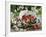 Fresh Strawberries in Sieve Surrounded by Sloe Blossom-Martina Schindler-Framed Photographic Print