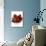 Fresh Strawberries-null-Photographic Print displayed on a wall