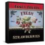 Fresh Strawberries-Kimberly Poloson-Framed Stretched Canvas