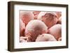 Fresh Strawberry Ice Cream close up Shoot-Dusan Zidar-Framed Photographic Print