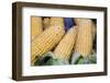 Fresh Sweet Corn in Carmel Market-Richard T. Nowitz-Framed Photographic Print