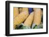 Fresh Sweet Corn in Carmel Market-Richard T. Nowitz-Framed Photographic Print