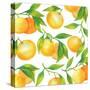 Fresh Tangerines with Green Leaves-Maria Mirnaya-Stretched Canvas
