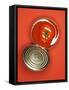 Fresh Tomato in an Opened Tin-null-Framed Stretched Canvas