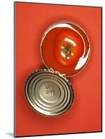 Fresh Tomato in an Opened Tin-null-Mounted Photographic Print