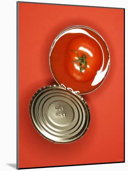 Fresh Tomato in an Opened Tin-null-Mounted Photographic Print