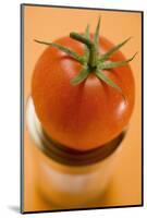 Fresh Tomato on Food Tin-Foodcollection-Mounted Photographic Print