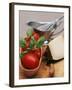 Fresh Tomatoes, Basil and Piece of Cheese, Sauce-Boat-null-Framed Photographic Print