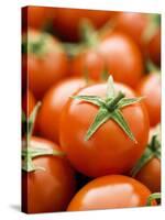 Fresh Tomatoes-Greg Elms-Stretched Canvas