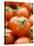 Fresh Tomatoes-Greg Elms-Stretched Canvas