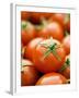 Fresh Tomatoes-Greg Elms-Framed Photographic Print