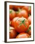 Fresh Tomatoes-Greg Elms-Framed Photographic Print