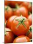 Fresh Tomatoes-Greg Elms-Mounted Photographic Print