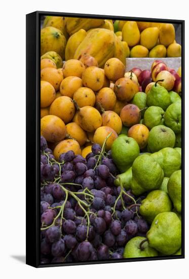 Fresh tropical fruit for sale in historic Cartagena, Colombia.-Jerry Ginsberg-Framed Stretched Canvas