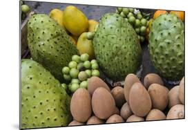 Fresh tropical fruit for sale in historic Cartagena, Colombia.-Jerry Ginsberg-Mounted Photographic Print