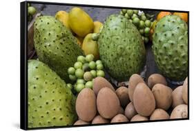 Fresh tropical fruit for sale in historic Cartagena, Colombia.-Jerry Ginsberg-Framed Stretched Canvas