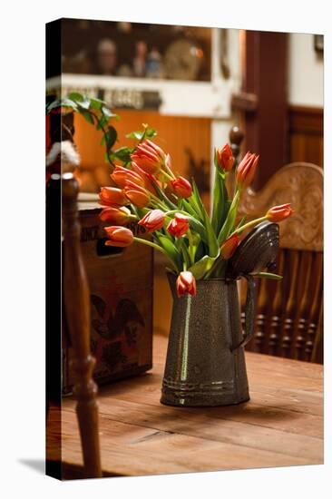 Fresh Tulips II-Philip Clayton-thompson-Stretched Canvas