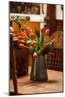 Fresh Tulips II-Philip Clayton-thompson-Mounted Photographic Print