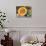 Fresh Vegetables and Fruits at the Local Market in St John's, Antigua, Caribbean-Kymri Wilt-Photographic Print displayed on a wall