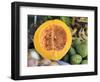 Fresh Vegetables and Fruits at the Local Market in St John's, Antigua, Caribbean-Kymri Wilt-Framed Photographic Print