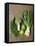 Fresh Vegetables, Dill and Limes-null-Framed Stretched Canvas