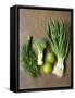 Fresh Vegetables, Dill and Limes-null-Framed Stretched Canvas