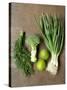 Fresh Vegetables, Dill and Limes-null-Stretched Canvas