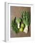 Fresh Vegetables, Dill and Limes-null-Framed Photographic Print