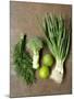 Fresh Vegetables, Dill and Limes-null-Mounted Photographic Print