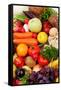 Fresh Vegetables, Fruits and Other Foodstuffs. Shot in a Studio.-prometeus-Framed Stretched Canvas