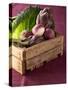 Fresh Vegetables in a Crate-Eising Studio - Food Photo and Video-Stretched Canvas