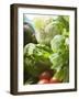 Fresh Vegetables in Plastic Dish (Close-Up)-Foodcollection-Framed Photographic Print