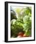 Fresh Vegetables in Plastic Dish (Close-Up)-Foodcollection-Framed Photographic Print