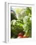 Fresh Vegetables in Plastic Dish (Close-Up)-Foodcollection-Framed Photographic Print