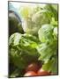 Fresh Vegetables in Plastic Dish (Close-Up)-Foodcollection-Mounted Photographic Print