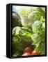 Fresh Vegetables in Plastic Dish (Close-Up)-Foodcollection-Framed Stretched Canvas