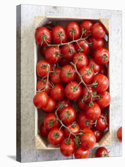 Fresh Vine Tomatoes in a Crate-Susanne Schanz-Stretched Canvas