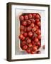 Fresh Vine Tomatoes in a Crate-Susanne Schanz-Framed Photographic Print