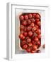 Fresh Vine Tomatoes in a Crate-Susanne Schanz-Framed Photographic Print