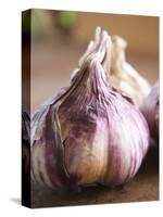 Fresh Violet and White Garlic, Clos Des Iles, Le Brusc, Cote d'Azur, Var, France-Per Karlsson-Stretched Canvas