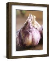 Fresh Violet and White Garlic, Clos Des Iles, Le Brusc, Cote d'Azur, Var, France-Per Karlsson-Framed Photographic Print