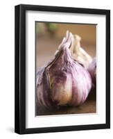 Fresh Violet and White Garlic, Clos Des Iles, Le Brusc, Cote d'Azur, Var, France-Per Karlsson-Framed Photographic Print