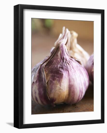 Fresh Violet and White Garlic, Clos Des Iles, Le Brusc, Cote d'Azur, Var, France-Per Karlsson-Framed Photographic Print