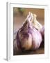 Fresh Violet and White Garlic, Clos Des Iles, Le Brusc, Cote d'Azur, Var, France-Per Karlsson-Framed Photographic Print