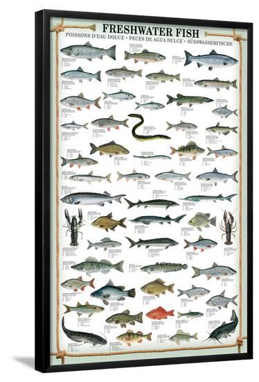 Poster, , large