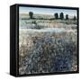 Fresh Water-Tim O'toole-Framed Stretched Canvas